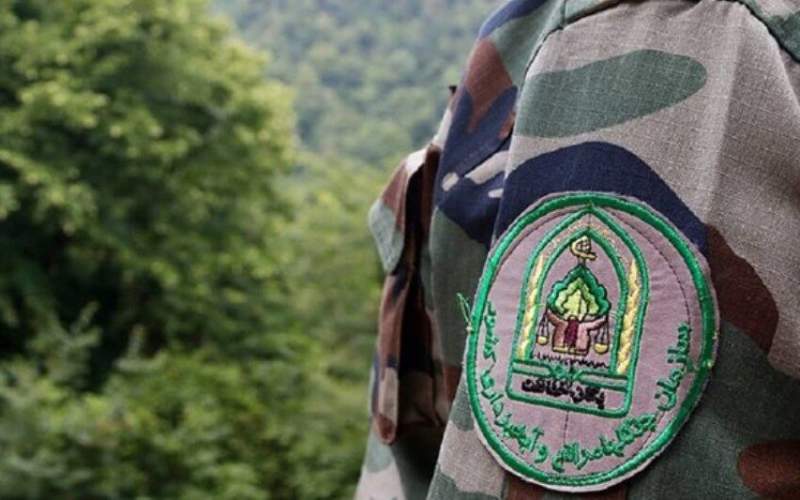 جنگلبانان؛ حافظان بی‌ادعای منابع طبیعی شاهرود